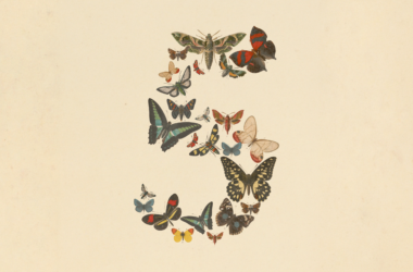 Anthropic launch artwork used for coverage of Claude Sonnet 5 and agentic AI model pricing.