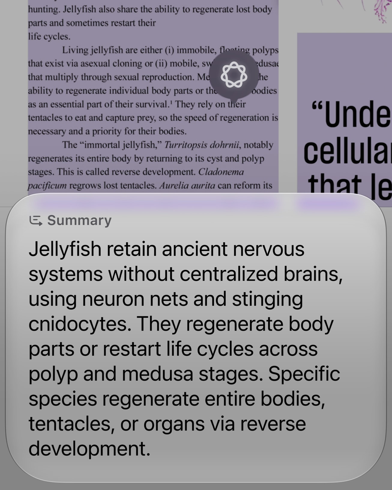 Siri AI answering a question about content displayed on an iPhone screen