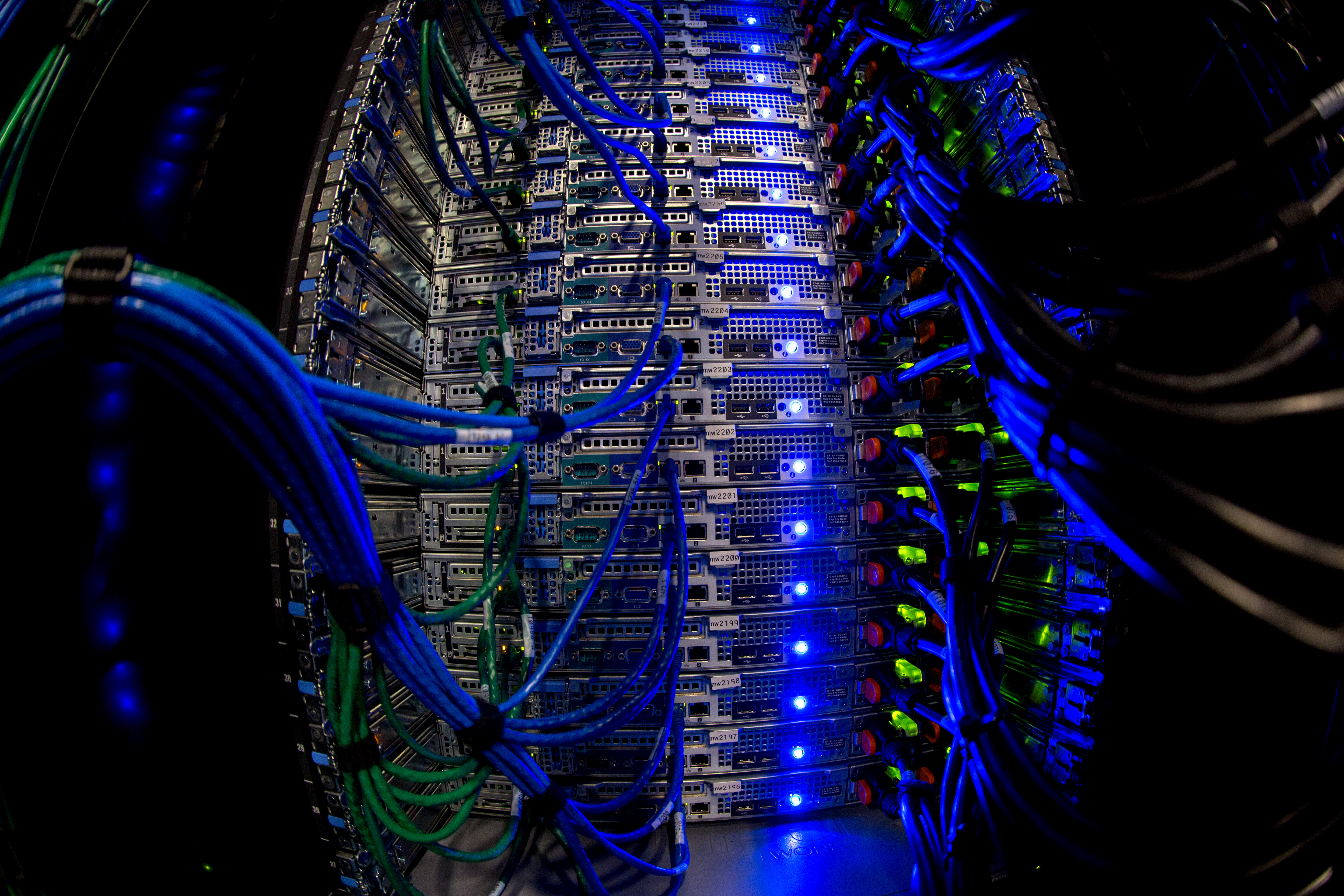Network cables connected to server hardware in a data center rack, illustrating DNS and HTTPS infrastructure